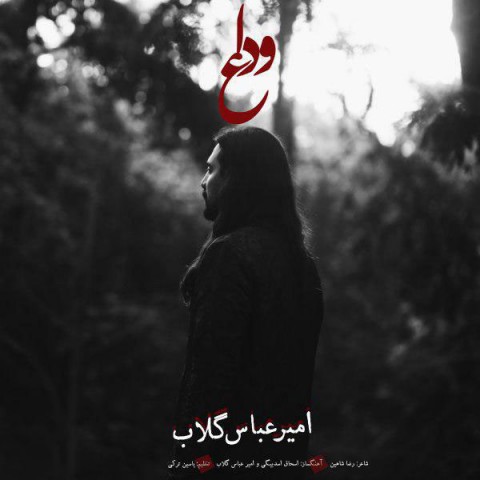 Amirabbas Golab – Vedaa