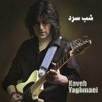 Kaveh Yaghmaei – Shabe Sard