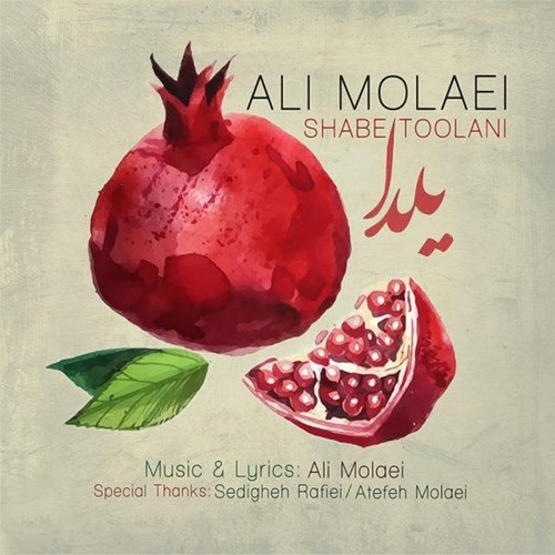 Ali Molaei – Shabe Toolani