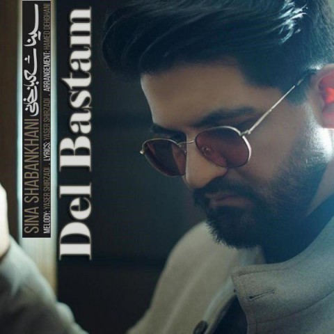 Sina Shabankhani – Del Bastam