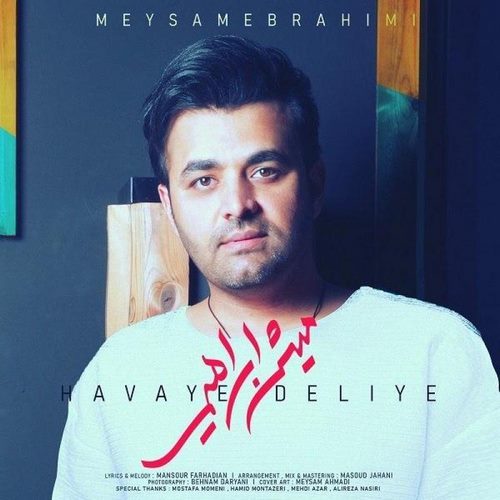 Meysam Ebrahimi – Havaye Deliye
