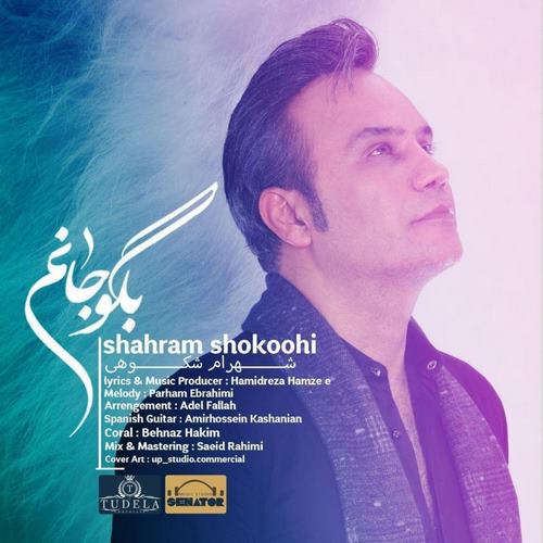 Shahram Shokoohi – Begoo Janam