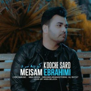 Meysam Ebrahimi – Kooche Sard