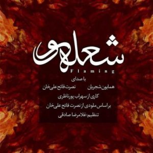 Homayoun Shajarian – Flaming