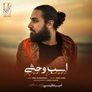 Amir Azimi – Asbe Vahshi