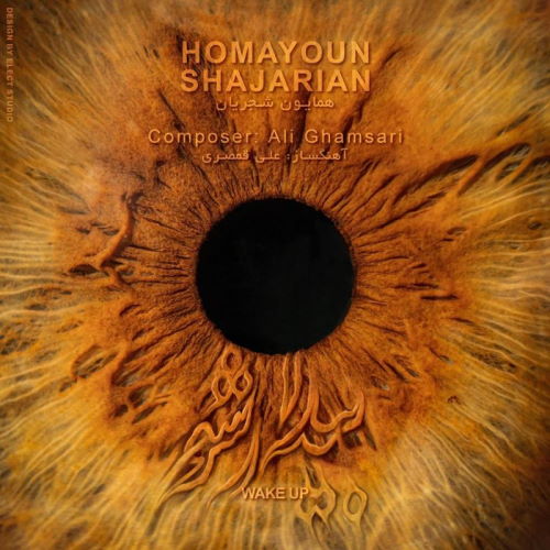 Homayoun Shajarian – Bidar Sho