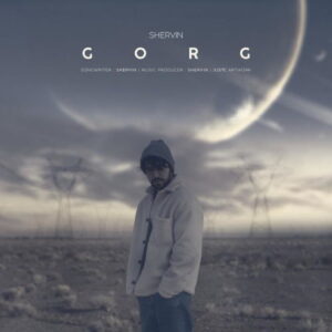 Shervin Hajipour – Gorg