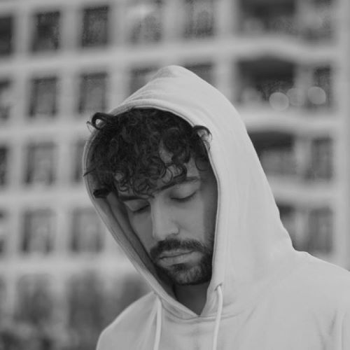 Shervin Hajipour – Miboosamet