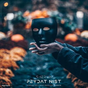 Shervin Hajipour – Peydat Nist