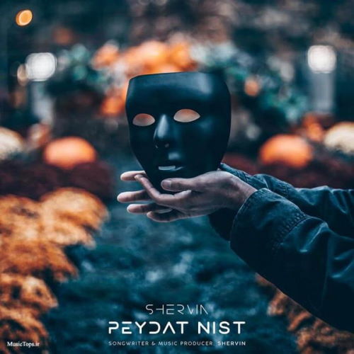 Shervin Hajipour – Peydat Nist