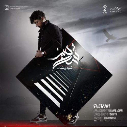 Shervin Hajipour – Shayad Behesht