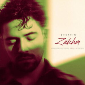 Shervin Hajipour – Zakhm (Unplugged)