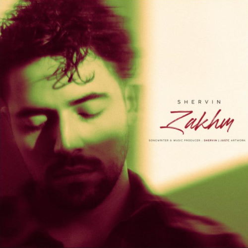 Shervin Hajipour – Zakhm (Unplugged)
