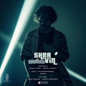 Shervin Hajipour – Mesle To