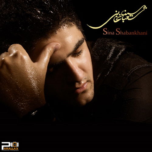 Sina Shabankhani – Sargije