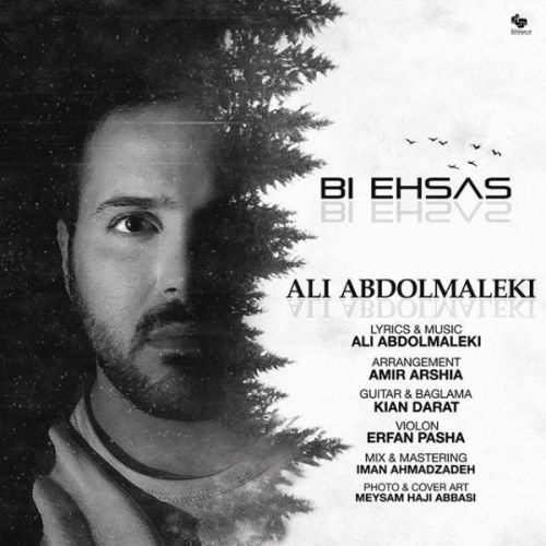 Ali Abdolmaleki – Bi Ehsas
