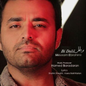 Meysam Ebrahimi – Bi Dalil