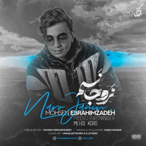 Mohsen Ebrahimzadeh – Naro Janam