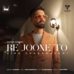 Sina Shabankhani – Be Joone To (Guitar Version)