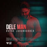 Babak Jahanbakhsh – Dele Man