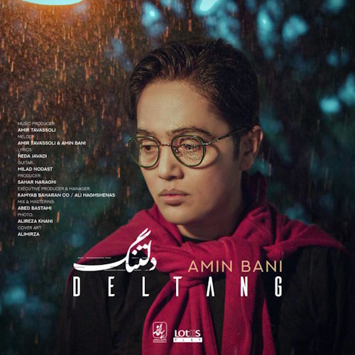 Amin Bani – Deltang