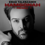 Emad Talebzadeh – Hamgonah ( Remix )