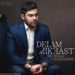 Mehrzad Khajeh Amiri – Delam Mikhast