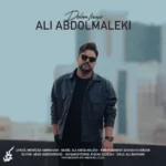 Ali Abdolmaleki – Delam Tange