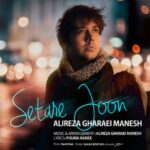 Alireza Gharaei Manesh – Setare Joon