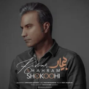 Shahram Shokoohi – Bimar