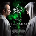 Shahram Shokoohi – Yare Namard