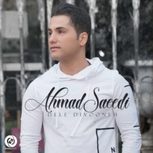 ahmad saeedi – dele divooneh