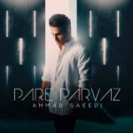 Ahmad Saeedi – pare parvaz