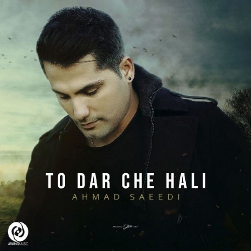 ahmad saeedi – to dar che hali