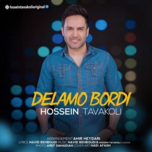 Hossein Tavakoli – delamo bordi