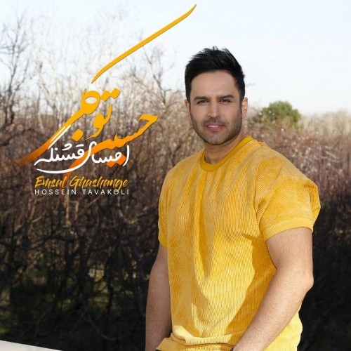 Hossein Tavakoli – emsal ghashange