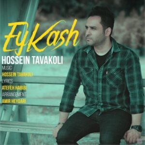 hossein tavakoli – ey kash