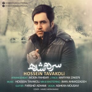 hossein tavakoli – sardam shodeh
