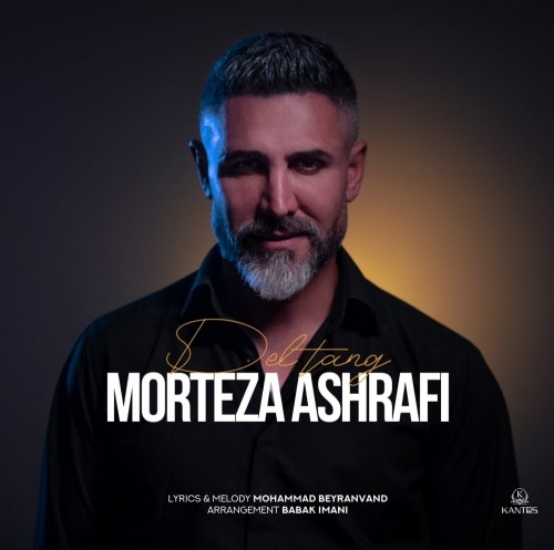 Morteza Ashrafi – deltang