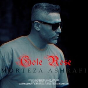 morteza ashrafi – gole rose
