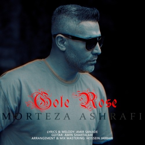 morteza ashrafi – gole rose