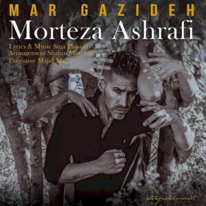 morteza ashrafi – mar gazideh