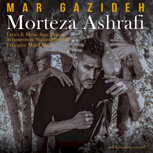 morteza ashrafi – mar gazideh