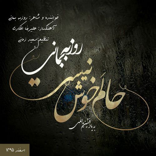 roozbeh bemani – halam khosh nist