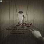 behzad pax & ahmad solo – to dari miri