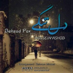 behzad pax & hossein ashoob – deltangi