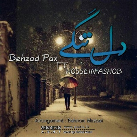 behzad pax & hossein ashoob – deltangi