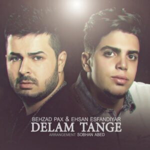 behzad pax & ehsan esfandiar – delam tange