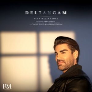 Reza Malekzadeh – deltangam