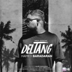 hamed baradaran – deltang (new version)